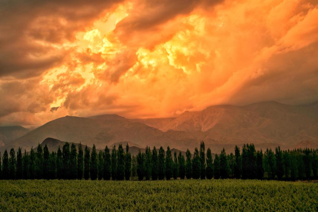 Alpasion Lodge Tunuyán Exteriér fotografie